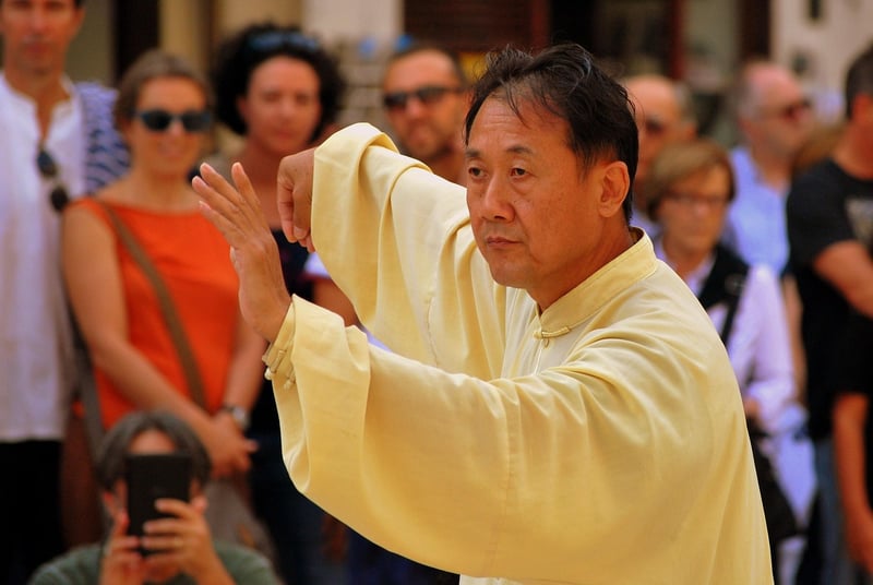 Chen Style Tai Chi Image